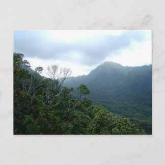 Hawaii Postcard Scene1