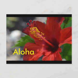 Hawaii Postcards