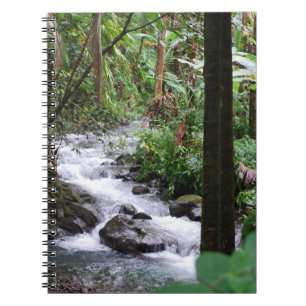 Hawaii Rainforest Notebook