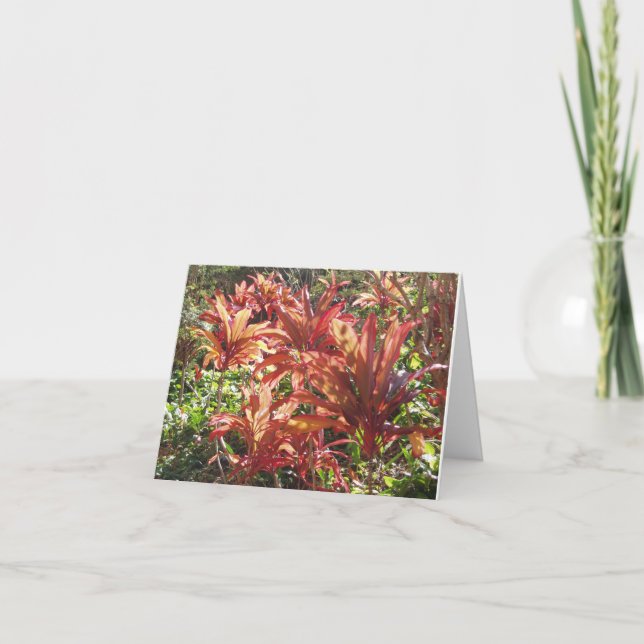 Hawaii Red Ti Leaf Plant Photo Thank You Note Card (Front)