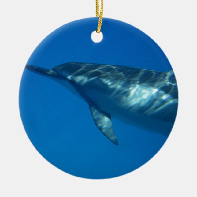 Hawaii Spinner Dolphin Ceramic Ornament (Front)