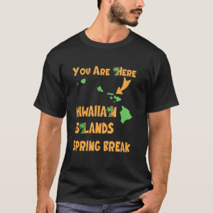 Hawaii Spring Break 2025 Beach Family Matching Wom T-Shirt