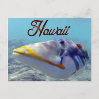 Hawaii State Fish - Humuhumunukunukuapua'a
