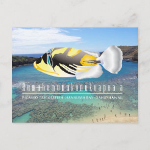 Hawaii State Fish - Humuhumunukunukuapua'a Postcard