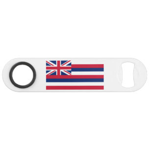 Hawaii State Flag