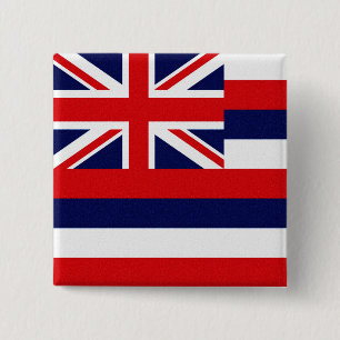 Hawaii State Flag 15 Cm Square Badge