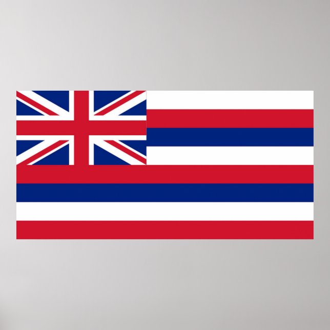 Hawaii State flag Poster (Front)