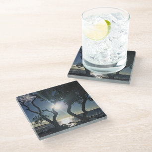 Hawaii Sunlit Trees Ocean Shore Colour Photography Glass Coaster