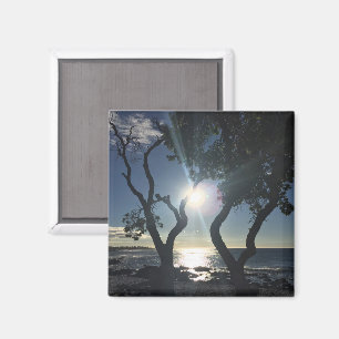 Hawaii Sunlit Trees Ocean Shore Colour Photography Magnet