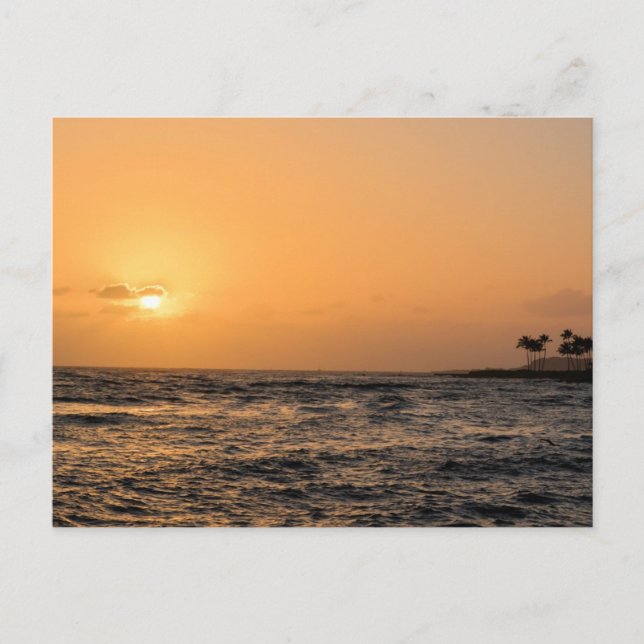 Hawaii Sunset Postcard (Front)
