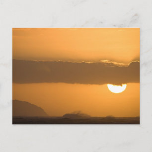 Hawaii Sunset Postcard