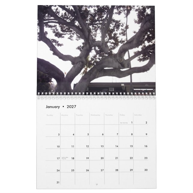 Hawaii The Big Island Calendar (Jan 2027)