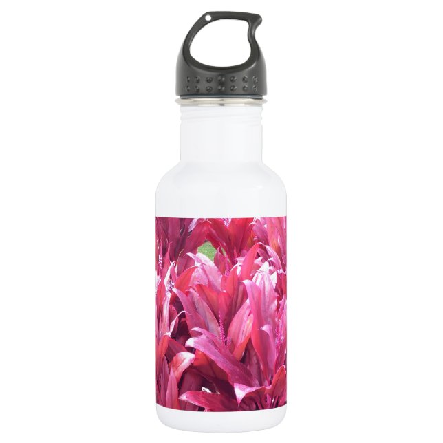 Hawaii Ti leave plant 532 Ml Water Bottle (Front)
