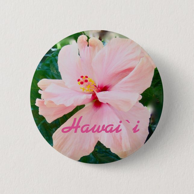 Hawaii Tropical Pink Flower 6 Cm Round Badge (Front)