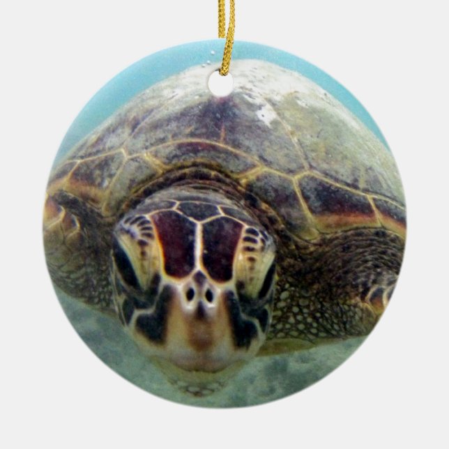 Hawaii Turtle Ceramic Ornament (Front)