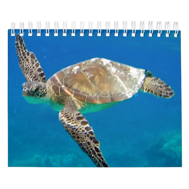 Hawaii Turtles Calendar (Cover)