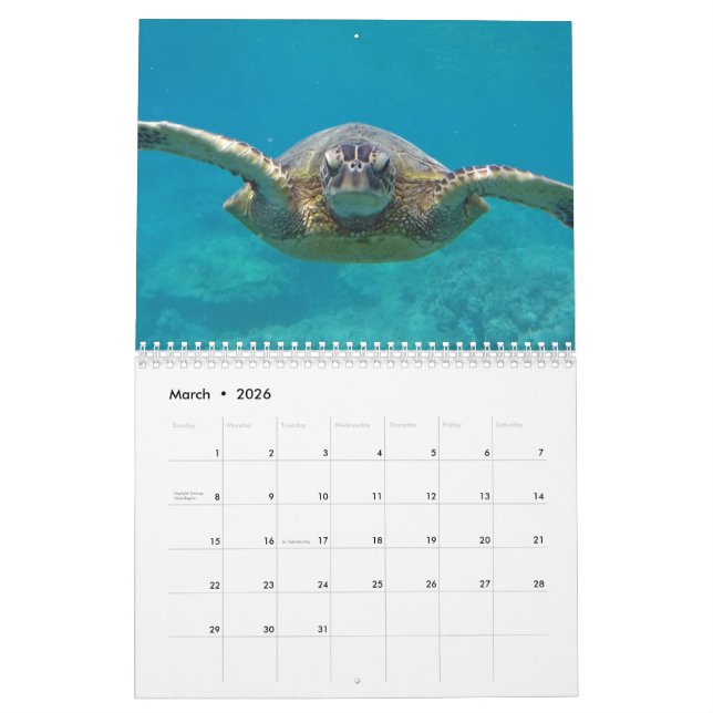 Hawaii Turtles Calendar (Mar 2026)