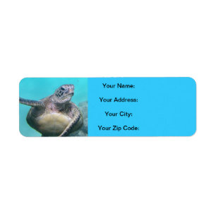 Hawaii Turtles - Honu Return Address Label