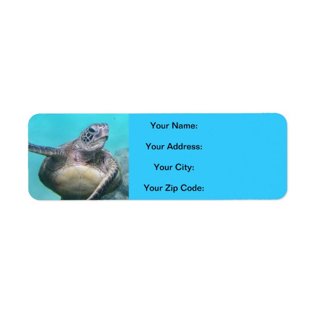 Hawaii Turtles - Honu Return Address Label (Front)