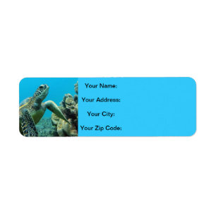 Hawaii Turtles Return Address Label