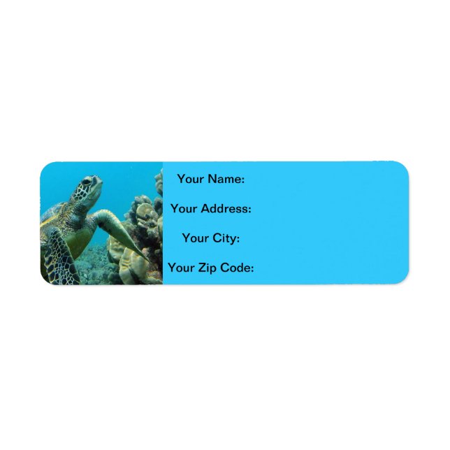 Hawaii Turtles Return Address Label (Front)