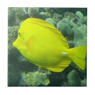 Hawaii Yellow Tang - Lau'i Pala Ceramic Tile