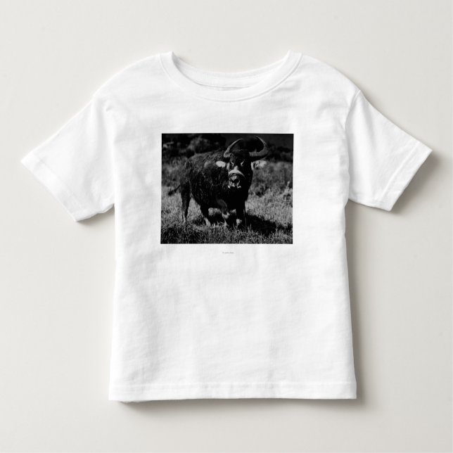 HawaiiA Water Buffalo  PhotographHawaii Toddler T-Shirt (Front)