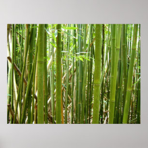 Hawaiian Bamboo Poster