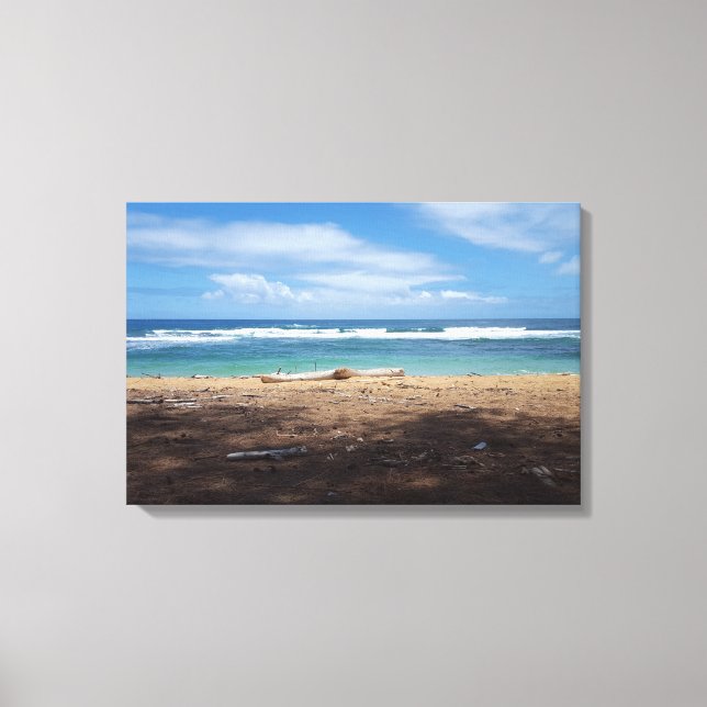 Hawaiian Beach Canvas Print (Front)