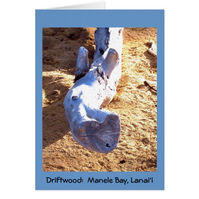 Hawaiian Beach Driftwood Blank Card (Front)