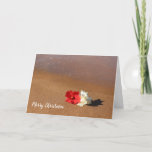 Hawaiian Beach Hibiscus Christmas Card<br><div class="desc">Taken on the beautiful island paradise of Maui, Hawaii, this seasonal Christmas Card features red and double white Hibiscus flowers! Inside the card wishes you a Merry Christmas and Happy New Year! Customize the front and inside of the card with your own wording. Thank you for looking and please find...</div>