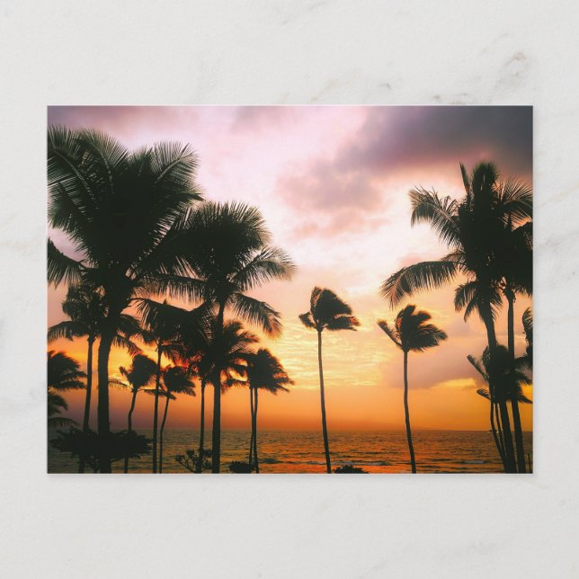 Hawaiian Beach Palm Trees Sunset - Hawaii Travel Postcard (Front)