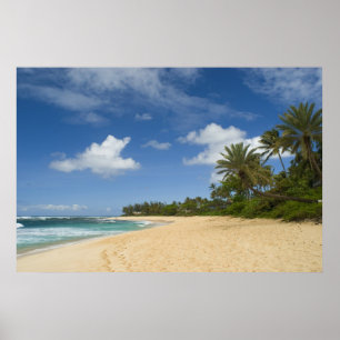 Hawaiian Beach poster FROM  8.99
