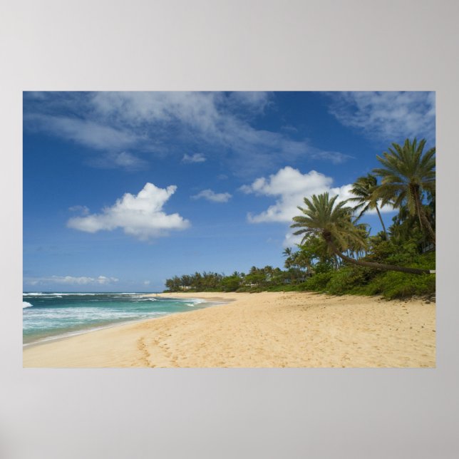 Hawaiian Beach poster FROM  8.99 (Front)