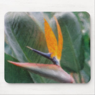 Hawaiian Bird of Paradise  Mousepads