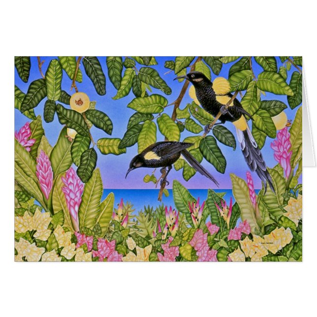 Hawaiian Bishop's O'o (Front Horizontal)