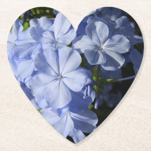 Hawaiian Blue Plumbago flower Cushion Coaster Acry