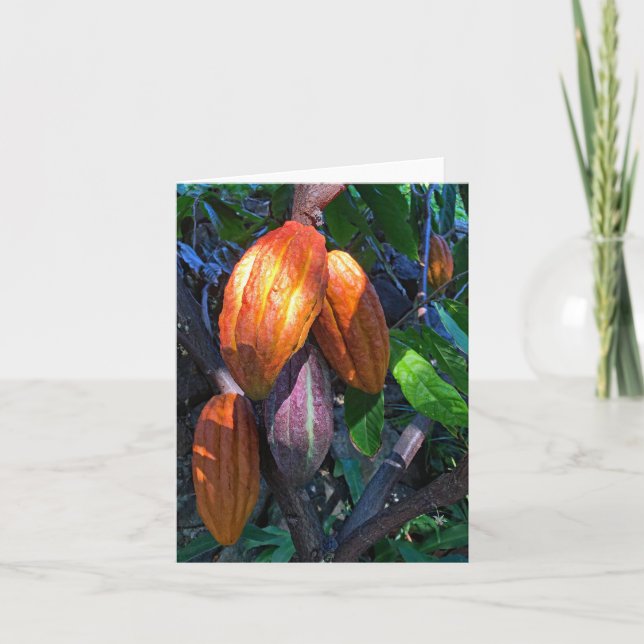 Hawaiian Cacao Card (Front)
