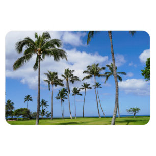 Hawaiian Coconut Trees Photo Magnet