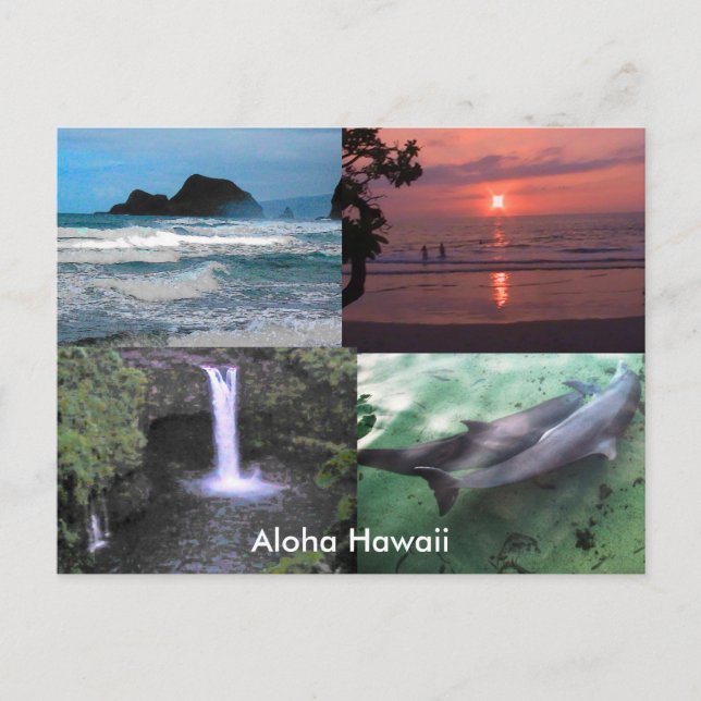 Hawaiian Collection Postcard (Front)