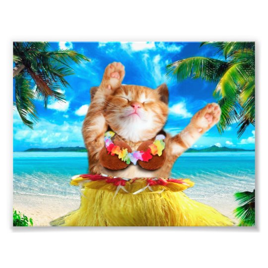 Hawaiian dancer cat photo print | Zazzle.com.au