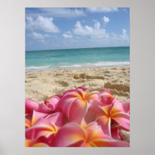 Hawaiian Dayz Poster