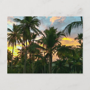 Hawaiian Exotic Beach Palm Trees Postcard