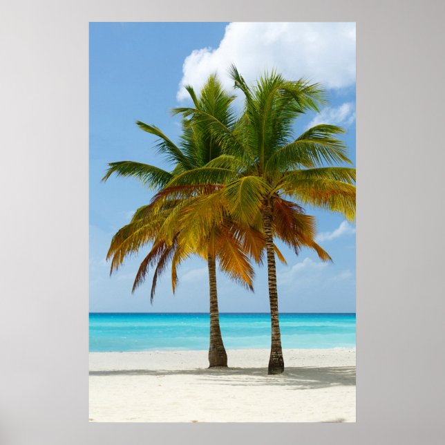 Hawaiian Exotic Beach Palm Trees Poster (Front)