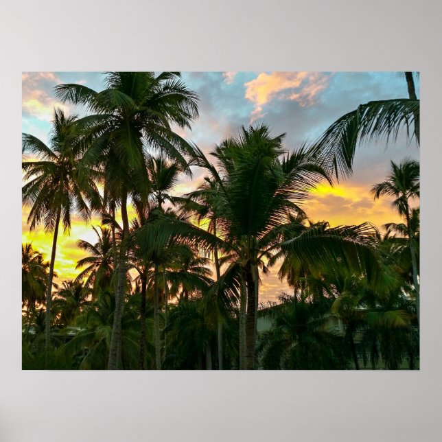 Hawaiian Exotic Beach Palm Trees Poster (Front)