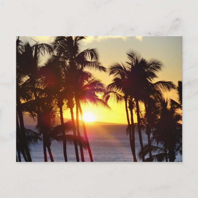 Hawaiian Exotic Beach Palm Trees Sunset Postcard (Front)