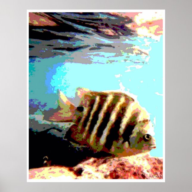 Hawaiian Fish Poster (Front)