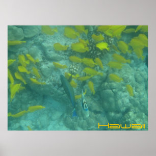Hawaiian fish tropical poster