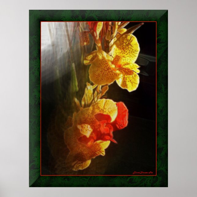 Hawaiian Flame Flowers Poster (Front)