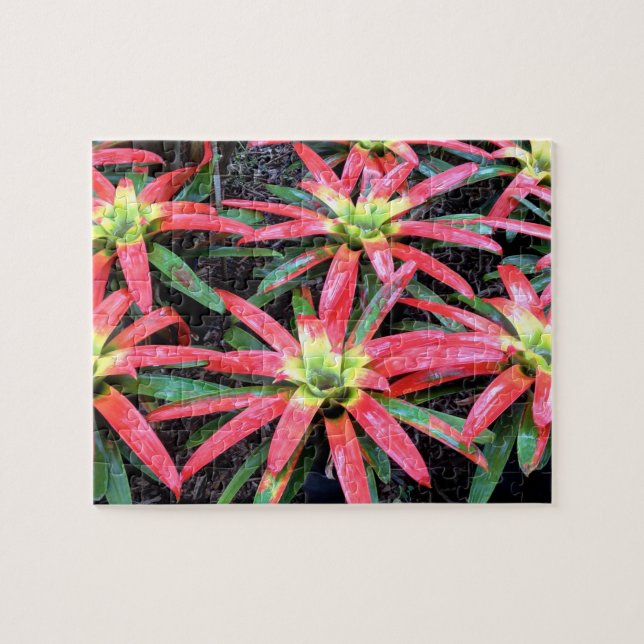 Hawaiian Flower Puzzle (Horizontal)